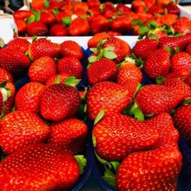 FRAGOLE vasch. Da 250g