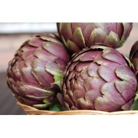 CARCIOFI ROMANESCHI