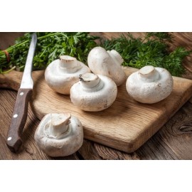 FUNGHI CHAMPIGNON