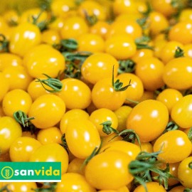 datterino Giallo