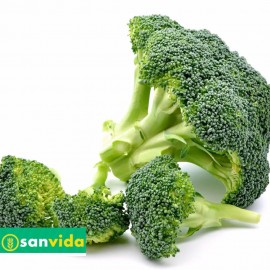 Broccoletti