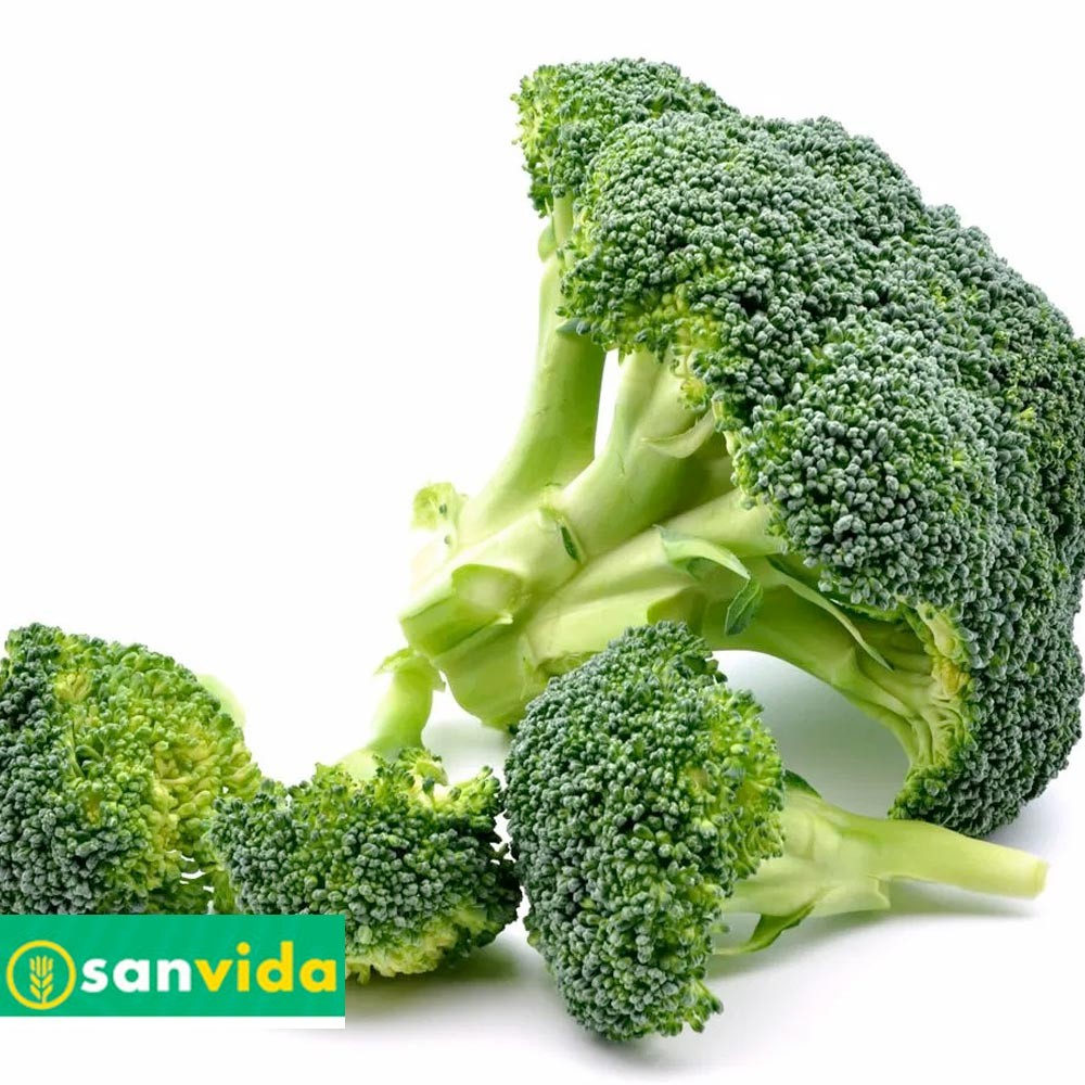 Broccoletti