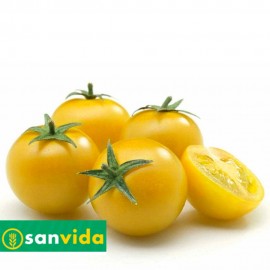 DATTERINO GIALLO INTERO AL...