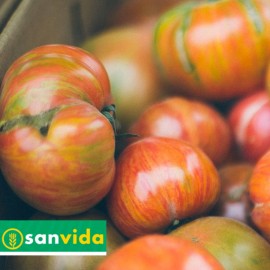 POMODORO STRIATO AL NATURALE