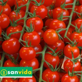 CILIEGINO ROSSO AL NATURALE