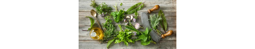 Erbe Aromatiche
