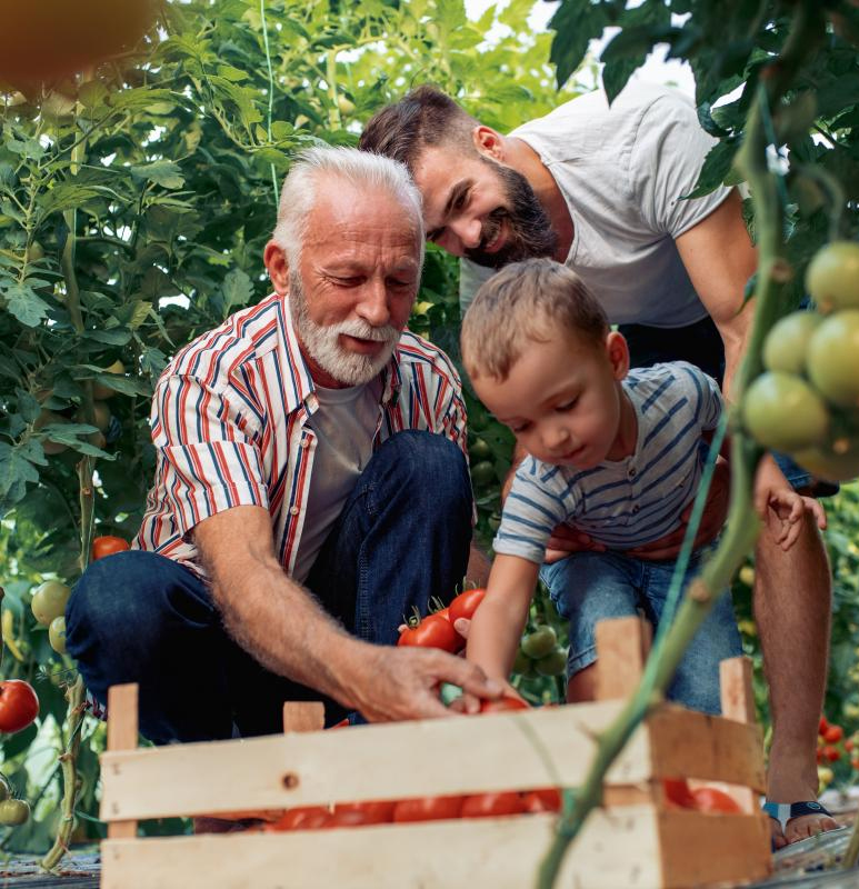 Produzione Sanvida ortaggi